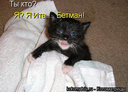 Котоматрица: Ты кто?  Я? Я Ита.... Бетман!
