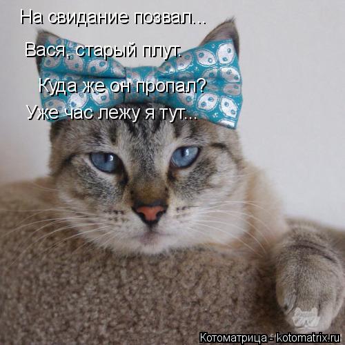 Котоматрица: На свидание позвал... Вася, старый плут. Куда же он пропал?  Уже час лежу я тут...