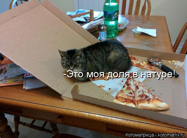 Котоматрица: -Это моя доля,в натуре!