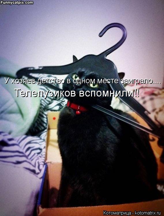 Котоматрица: У хозяев детство в одном месте заиграло.... Телепузиков вспомнили!!