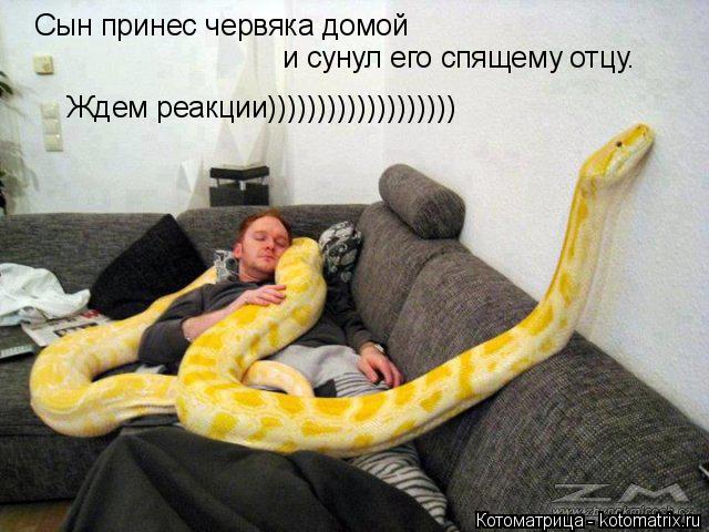 Котоматрица: Ребеок принес червяка домой и сунул его спящему отцу. Ребеок принес червяка домой и сунул его спящему отцу. Сын принес червяка домой  и суну