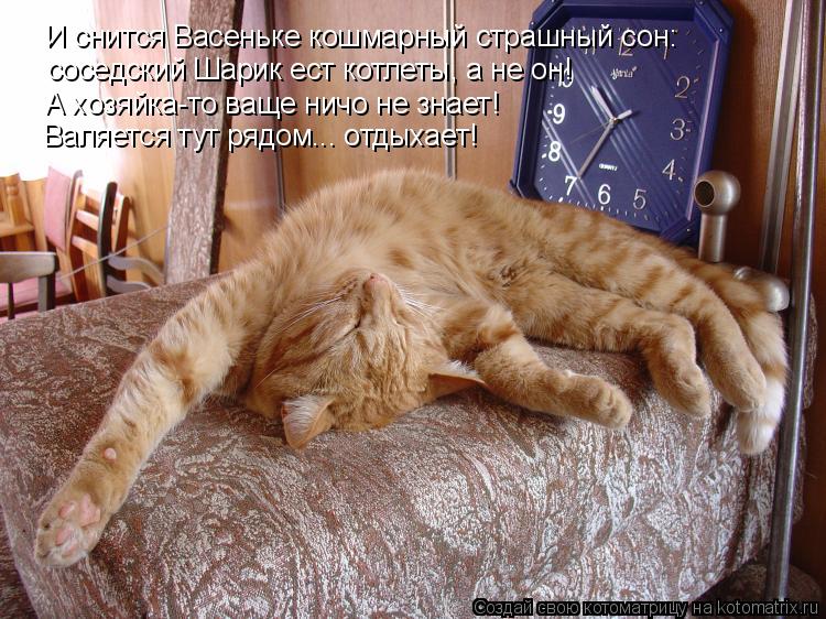 Котоматрица: И снится Васеньке кошмарный страшный сон: А хозяйка-то ваще ничо не знает! соседский Шарик ест котлеты, а не он! Валяется тут рядом... отдыхае