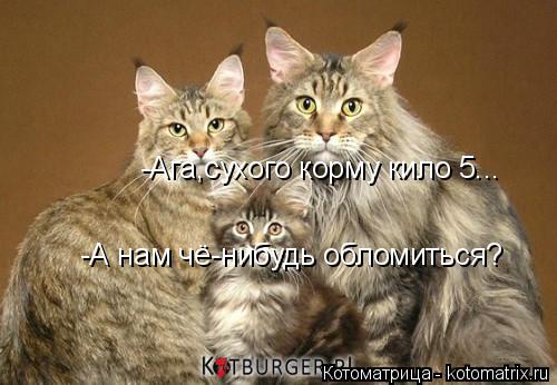 Котоматрица: -А нам чё-нибудь обломиться? -Ага,сухого корму кило 5...