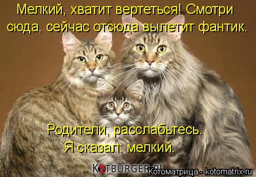 сюда, сейчас отсюда вылетит фантик. Мелкий, хватит вертеться! Смотри Родители, расслабьтесь. Я сказ... Котоматрица: сюда, сейчас отсюда вылетит фантик. Мелкий, хватит вертеться! Смотри Родители, расслабьтесь. Я сказал: мелкий.