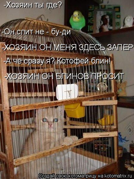 Котоматрица: -Хозяин ты где? -Он спит не - бу-ди -ХОЗЯИН ОН МЕНЯ ЗДЕСЬ ЗАПЕР -А чё сразу я? Котофей блин! -ХОЗЯИН ОН БЛИНОВ ПРОСИТ