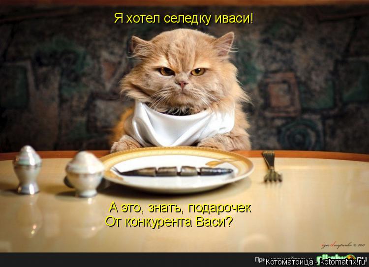 Я хотел селедку иваси! А это, знать, подарочек От конкурента Васи?... Котоматрица: Я хотел селедку иваси! А это, знать, подарочек От конкурента Васи?