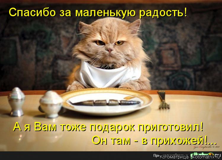 Котоматрица: Спасибо за маленькую радость! А я Вам тоже подарок приготовил! Он там - в прихожей!...