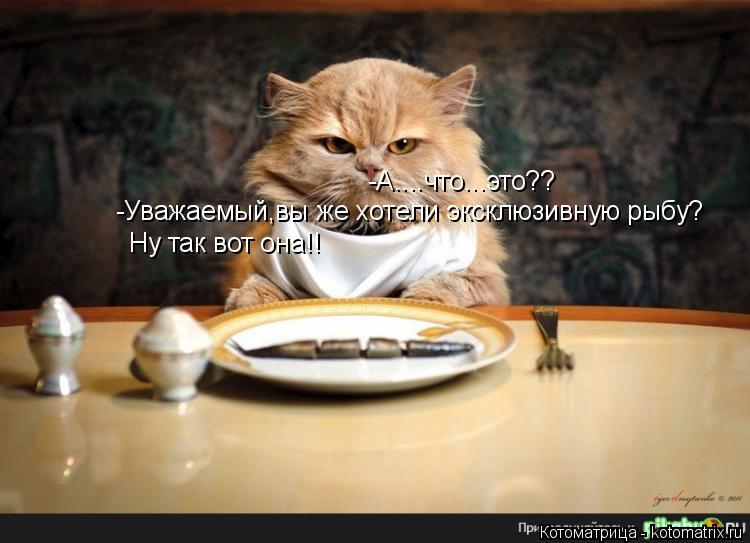 Котоматрица: -А....что...это?? -Уважаемый,вы же хотели эксклюзивную рыбу? Ну так вот она!!