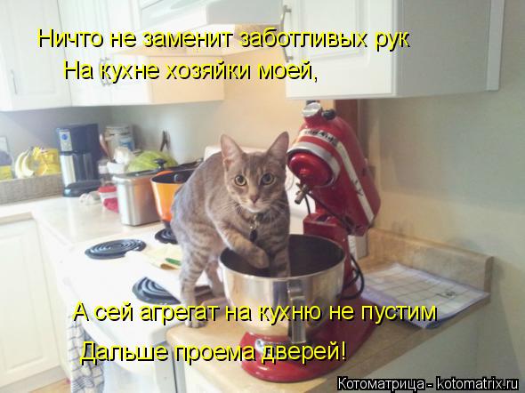 Ничто не заменит заботливых рук На кухне хозяйки моей, А сей агрегат на кухню не пустим Дальше прое... Котоматрица: Ничто не заменит заботливых рук На кухне хозяйки моей, А сей агрегат на кухню не пустим Дальше проема дверей!