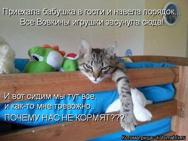 Котоматрица: Приехала бабушка в гости и навела порядок... Все Вовкины игрушки засунула сюда! И вот сидим мы тут все,  и как-то мне тревожно...  ПОЧЕМУ НАС НЕ 