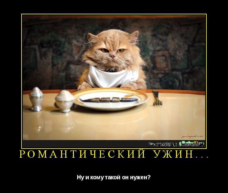 Котоматрица: РОМАНТИЧЕСКИЙ УЖИН... Ну и кому такой он нужен?
