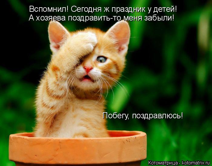 Котоматрица: Вспомнил! Сегодня ж праздник у детей! А хозяева поздравить-то меня забыли!  Побегу, поздравлюсь!