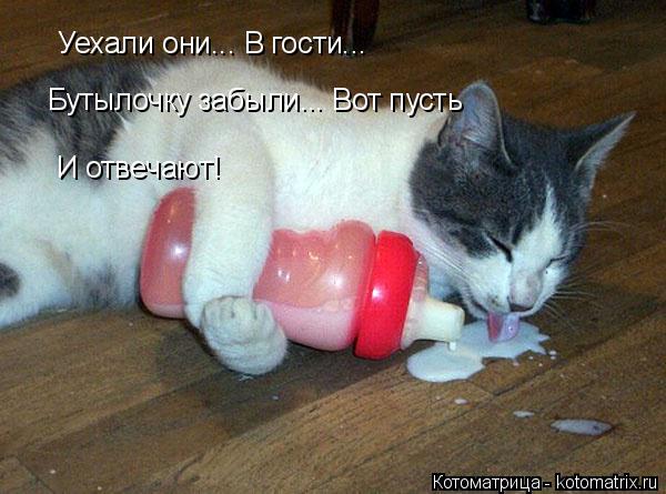 Котоматрица: Уехали они... В гости... Бутылочку забыли... Вот пусть И отвечают!