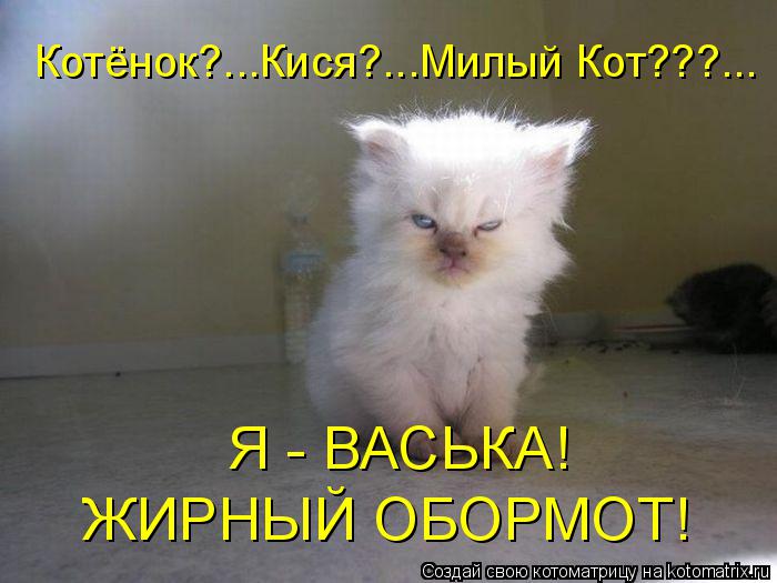 Котоматрица: Котёнок?...Кися?...Милый Кот???... Я - ВАСЬКА! ЖИРНЫЙ ОБОРМОТ!