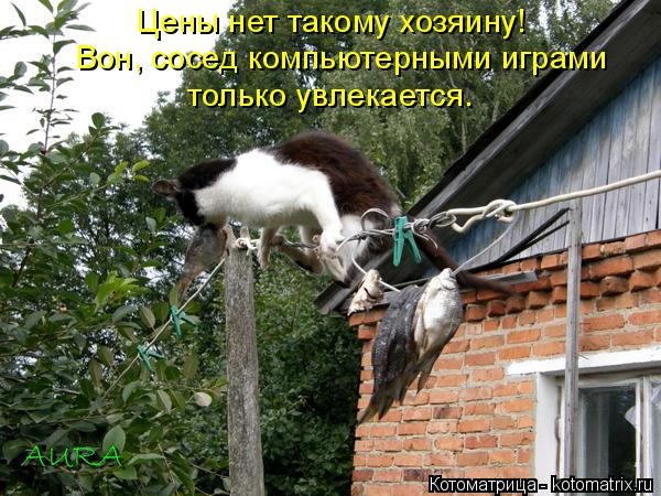 Цены нет такому хозяину! Вон, сосед компьютерными играми только увлекается.... Котоматрица: Цены нет такому хозяину! Вон, сосед компьютерными играми только увлекается.