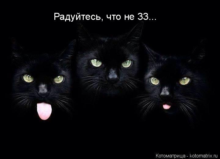 Котоматрица: Радуйтесь, что не 33...