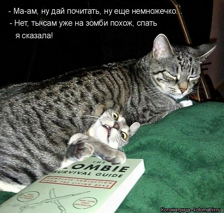 - Ма-ам, ну дай почитать, ну еще немножечко... - Нет, ты сам уже на зомби похож, спать я сказала!... Котоматрица: - Ма-ам, ну дай почитать, ну еще немножечко... - Нет, ты сам уже на зомби похож, спать я сказала!