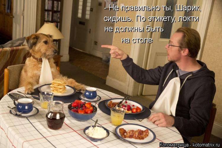 Котоматрица: - Не правильно ты, Шарик, сидишь. По этикету, локти  не должны быть на столе
