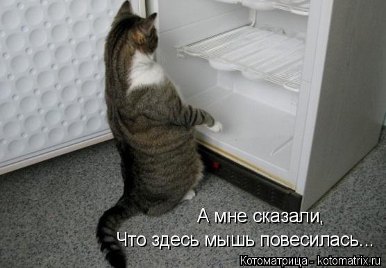 А мне сказали, Что здесь мышь повесилась...... Котоматрица: А мне сказали, Что здесь мышь повесилась...