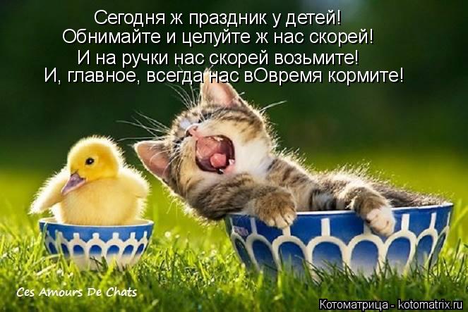 Котоматрица: Сегодня ж праздник у детей! Обнимайте и целуйте ж нас скорей! И на ручки нас скорей возьмите! И, главное, всегда нас вОвремя кормите!