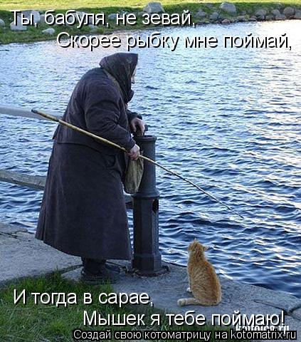 Ты, бабуля, не зевай, Скорее рыбку мне поймай, И тогда в сарае, Мышек я тебе поймаю!... Котоматрица: Ты, бабуля, не зевай, Скорее рыбку мне поймай, И тогда в сарае, Мышек я тебе поймаю!