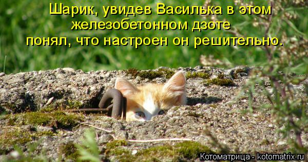 Котоматрица: Шарик, увидев Василька в этом железобетонном дзоте  понял, что настроен он решительно.