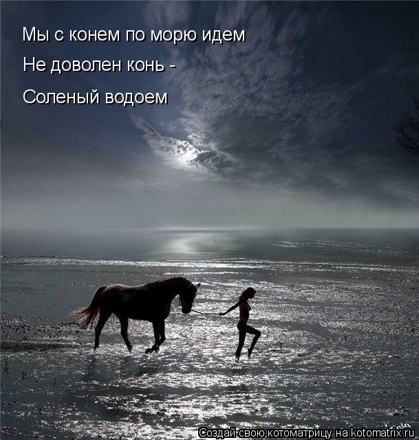 Котоматрица: Мы с конем по морю идем Не доволен конь -  Соленый водоем