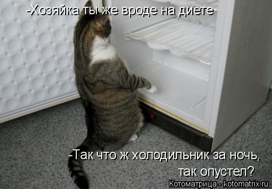 Котоматрица: -Хозяйка ты же вроде на диете -Так что ж холодильник за ночь, так опустел?