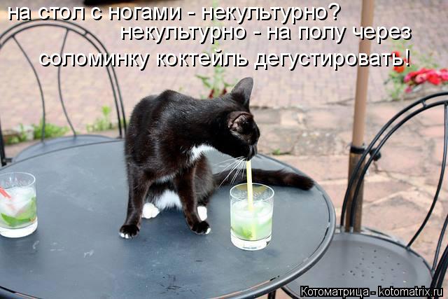 Котоматрица: на стол с ногами - некультурно? некультурно - на полу через  соломинку коктейль дегустировать!
