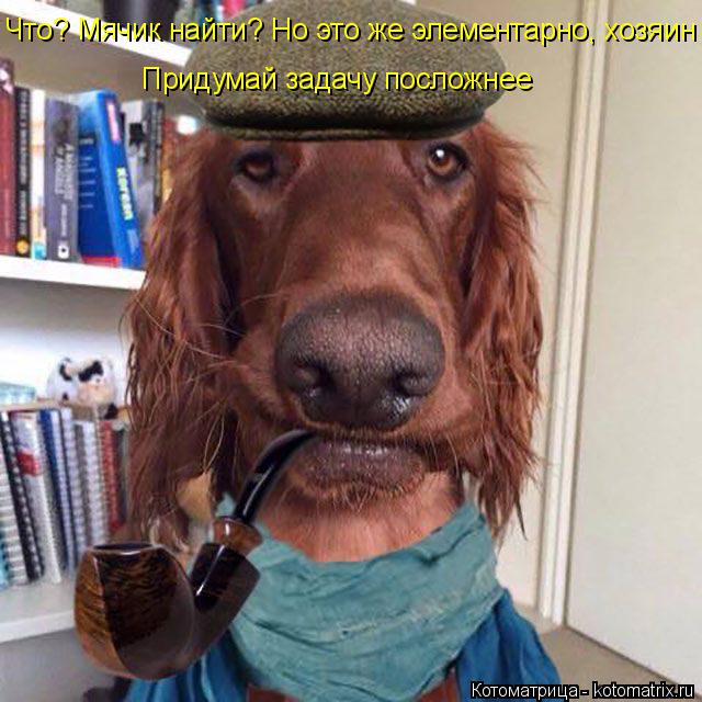 Что? Мячик найти? Но это же элементарно, хозяин Придумай задачу посложнее... Котоматрица: Что? Мячик найти? Но это же элементарно, хозяин Придумай задачу посложнее