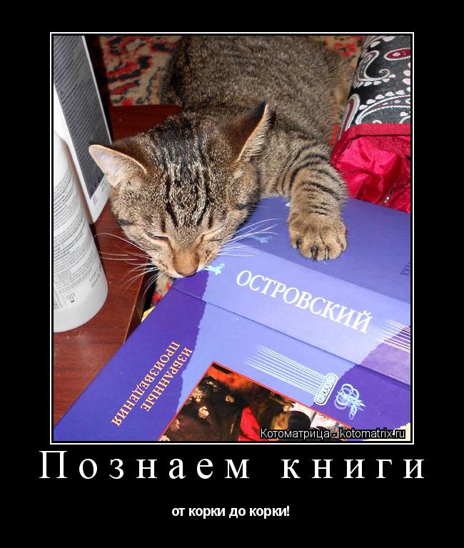 Познаем книги от корки до корки!... Котоматрица: Познаем книги от корки до корки!