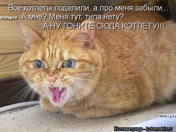 Котоматрица: Все котлеты поделили, а про меня забыли... А мне? Меня тут, типа нету? А НУ ГОНИТЕ СЮДА КОТЛЕТУ!!!