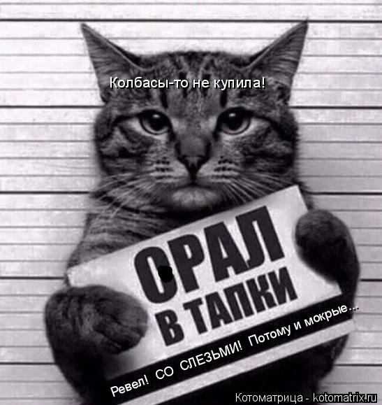 Ревел! СО СЛЕЗЬМИ! Потому и мокрые... Колбасы-то не купила!... Котоматрица: Ревел! СО СЛЕЗЬМИ! Потому и мокрые... Колбасы-то не купила!