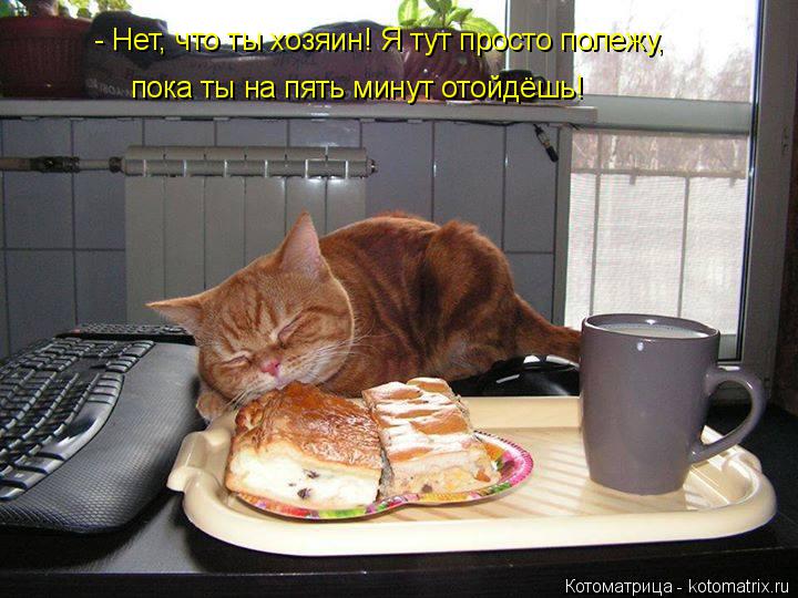 - Нет, что ты хозяин! Я тут просто полежу, пока ты на пять минут отойдёшь!... Котоматрица: - Нет, что ты хозяин! Я тут просто полежу, пока ты на пять минут отойдёшь!