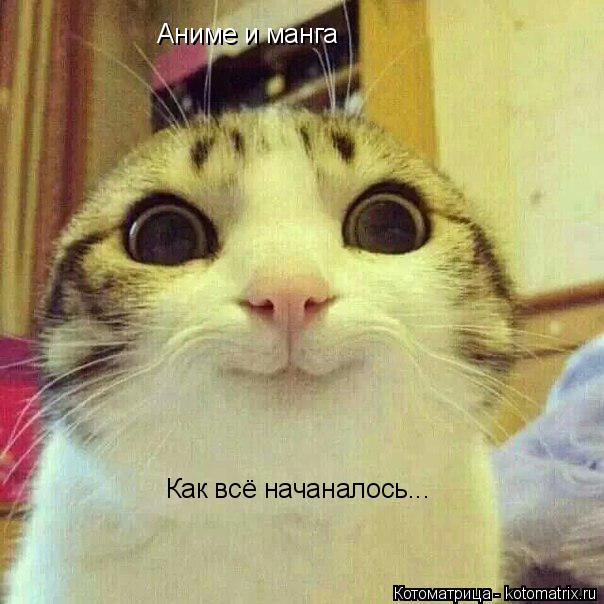 Аниме и манга Как всё начаналось...... Котоматрица: Аниме и манга Как всё начаналось...