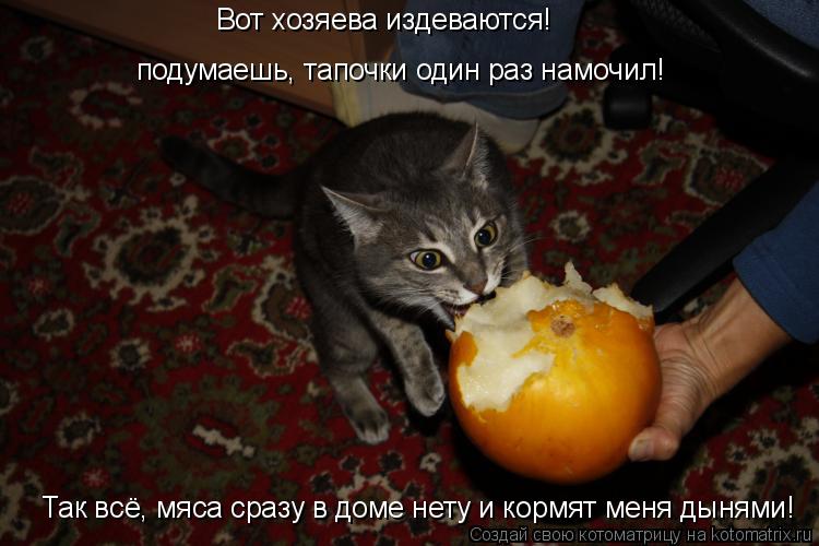 Вот хозяева издеваются! подумаешь, тапочки один раз намочил! Так всё, мяса сразу в доме нету и кормят... Котоматрица: Вот хозяева издеваются! подумаешь, тапочки один раз намочил! Так всё, мяса сразу в доме нету и кормят меня дынями!