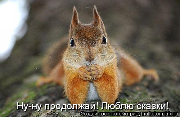 Котоматрица: Ну-ну продолжай! Люблю сказки!