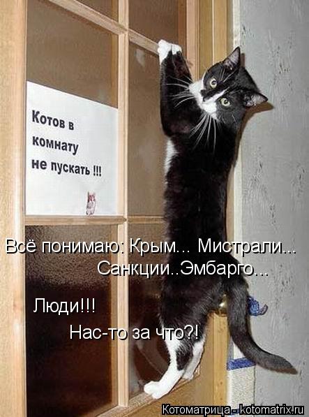 Всё понимаю: Крым... Мистрали... Санкции..Эмбарго... Люди!!! Нас-то за что?!... Котоматрица: Всё понимаю: Крым... Мистрали... Санкции..Эмбарго... Люди!!! Нас-то за что?!