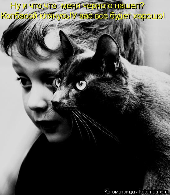 Котоматрица: Ну и что,что  меня черного нашел? Колбасой клянусь!У вас все будет хорошо!
