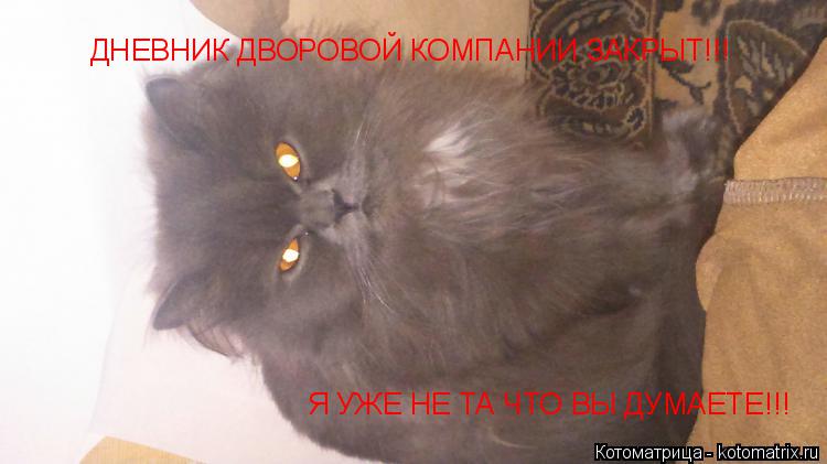 ДНЕВНИК ДВОРОВОЙ КОМПАНИИ ЗАКРЫТ!!! Я УЖЕ НЕ ТА ЧТО ВЫ ДУМАЕТЕ!!!... Котоматрица: ДНЕВНИК ДВОРОВОЙ КОМПАНИИ ЗАКРЫТ!!! Я УЖЕ НЕ ТА ЧТО ВЫ ДУМАЕТЕ!!!