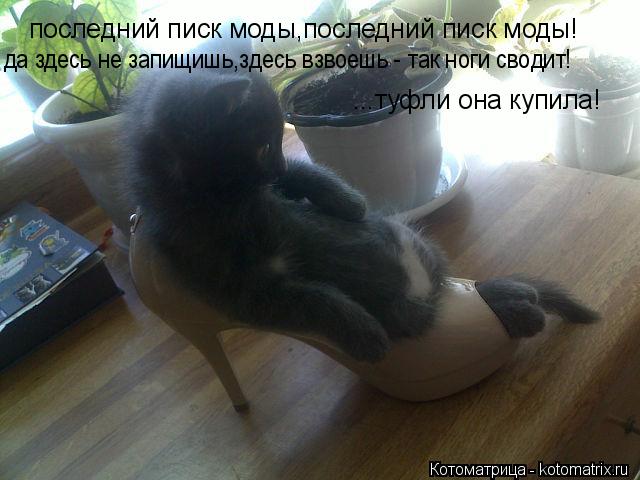 последний писк моды,последний писк моды! да здесь не запищишь,здесь взвоешь - так ноги сводит! ...туф... Котоматрица: последний писк моды,последний писк моды! да здесь не запищишь,здесь взвоешь - так ноги сводит! ...туфли она купила!