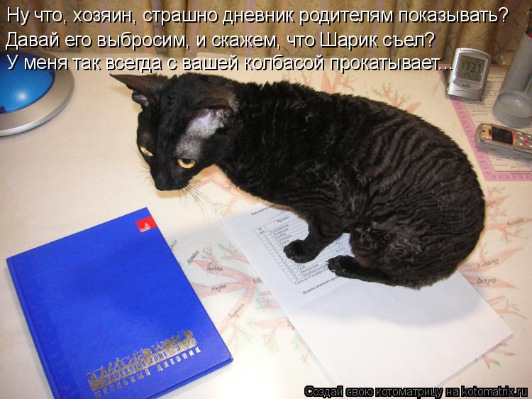 Ну что, хозяин, страшно дневник родителям показывать? Давай его выбросим, и скажем, что Шарик съел? У... Котоматрица: Ну что, хозяин, страшно дневник родителям показывать? Давай его выбросим, и скажем, что Шарик съел? У меня так всегда с вашей колбасой прокат