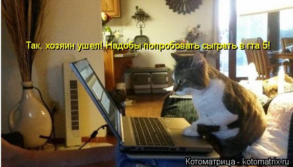 Так, хозяин ушел! Надобы попробовать сыграть в гта 5!... Котоматрица: Так, хозяин ушел! Надобы попробовать сыграть в гта 5!