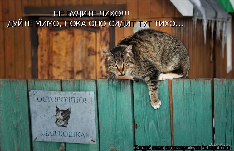 НЕ БУДИТЕ ЛИХО!!! ДУЙТЕ МИМО, ПОКА ОНО СИДИТ ТУТ ТИХО...... Котоматрица: НЕ БУДИТЕ ЛИХО!!! ДУЙТЕ МИМО, ПОКА ОНО СИДИТ ТУТ ТИХО...