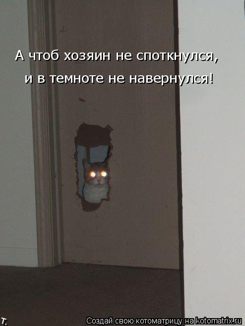 и в темноте не навернулся! А чтоб хозяин не споткнулся,... Котоматрица: и в темноте не навернулся! А чтоб хозяин не споткнулся,