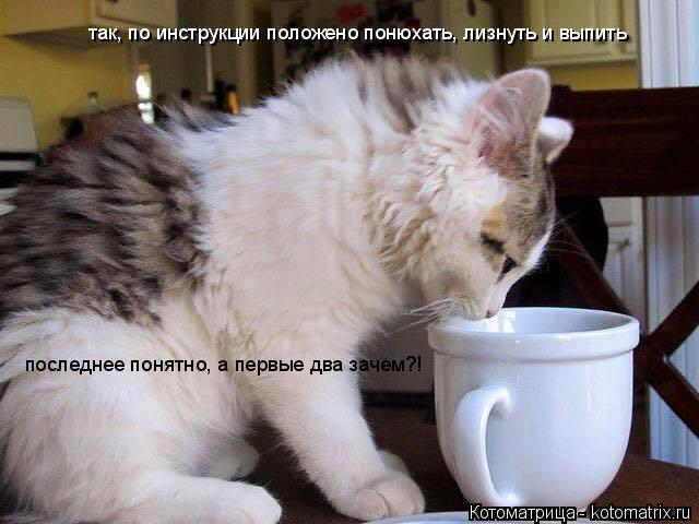 так, по инструкции положено понюхать, лизнуть и выпить последнее понятно, а первые два зачем?!... Котоматрица: так, по инструкции положено понюхать, лизнуть и выпить последнее понятно, а первые два зачем?!