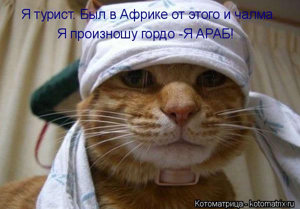 Я турист. Был в Африке от этого и чалма. Я произношу гордо -Я АРАБ!... Котоматрица: Я турист. Был в Африке от этого и чалма. Я произношу гордо -Я АРАБ!