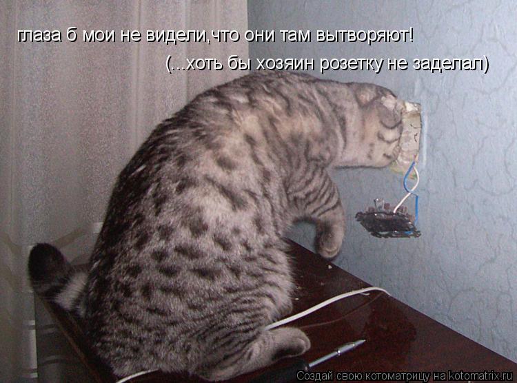 глаза б мои не видели,что они там вытворяют! (...хоть бы хозяин розетку не заделал)... Котоматрица: глаза б мои не видели,что они там вытворяют! (...хоть бы хозяин розетку не заделал)