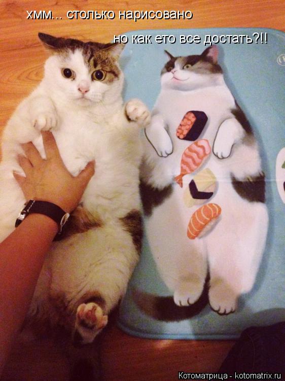 хмм... столько нарисовано но как ето все достать?!!... Котоматрица: хмм... столько нарисовано но как ето все достать?!!