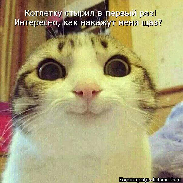 Котлетку стырил в первый раз! Интересно, как накажут меня щаз?... Котоматрица: Котлетку стырил в первый раз! Интересно, как накажут меня щаз?
